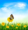 Summer background with dandelions Royalty Free Stock Photo