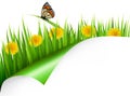 Summer background with dandelions and a butterfly Royalty Free Stock Photo
