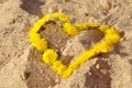 Summer background with dandelions in a heart shape on the sand Royalty Free Stock Photo