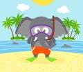 Summer background with elephant