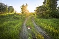 Summer background - field road with dried up mud among meadows on a sunset background. Plain landscape, Russia