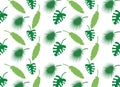 Summer background with jungle leaves. Vector illustration