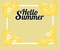 Summer background with lemon and tiny flowers. There is word `Hello Summer`. Illustration use for web banner, poster or flyer. Royalty Free Stock Photo