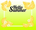 Summer background with lemon and tiny flowers. There is word `Hello Summer`. Illustration use for web banner, poster or flyer. Royalty Free Stock Photo