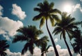 Summer background. Low angle view of tropical palm trees over clear blue sky stock photoPalm Tree Beach Summer Backgrounds Coconut Royalty Free Stock Photo
