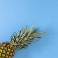 Summer background with organic tropic pineapple on pastel blue theme. Flat lay fruit minimal Royalty Free Stock Photo