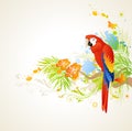 Summer background with ornament and parrot Royalty Free Stock Photo