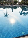 summer background. palm trees, sunny blue sky and sun reflected in the pool Royalty Free Stock Photo