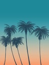 Summer background with palms, sky and sunset. Summer placard poster flyer invitation card. Royalty Free Stock Photo