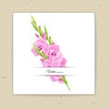 Summer background with pink gladiolus.