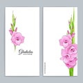 Summer background with pink gladiolus.