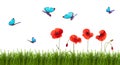 Summer background with poppies and butterflies. Royalty Free Stock Photo