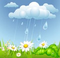 Summer background with rain Royalty Free Stock Photo