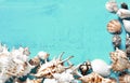 Summer background, sea shells on turquoise blue wood, top view, copy space. Royalty Free Stock Photo