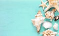 Summer background, sea shells on turquoise blue wood, top view, copy space. Royalty Free Stock Photo