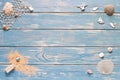 Summer background with sea shells on a wooden plank