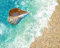 Summer background seashell sea wave blue marine water splash template background copy space banner abstract tropic