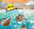 Summer background seashell on sea wave blue marine water splash template background with summer lettering banner abstract tropic