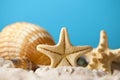 Summer background - seashells on beach