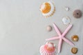 summer background. seashells border on sand Royalty Free Stock Photo