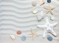 Seashells and starfish border