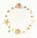Summer background. Seashells, starfish, sea pebbles circle on white background. Royalty Free Stock Photo