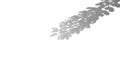 Summer background of shadows branch leaves on a white wall. White and Black for overlaying a photo or mockup Royalty Free Stock Photo