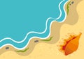 Summer background with shell on a beach Royalty Free Stock Photo