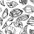 Summer background with shell elements. Repeating print background texture. Royalty Free Stock Photo