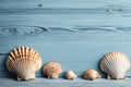 Shells blue wood background. Royalty Free Stock Photo