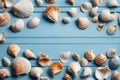 Shells blue wood background. Royalty Free Stock Photo
