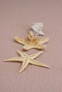 Summer background: starfish on the biege