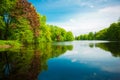 Summer background. Summer landscape with lake, flowers, trees, a Royalty Free Stock Photo