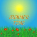 Summer background with sun and grass. Royalty Free Stock Photo