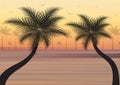 Summer background. Sunset with palm trees and seagull.