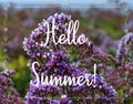 Summer background with text Hello,Summer.