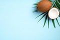 Summer background with tropical palm leaf and coconut fruit on blue background. Flat lay, top view, copy space Royalty Free Stock Photo