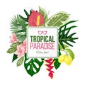 Summer background with tropical plants and flowers