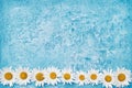 Summer background. White daisy border on blue background. Copy s