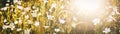 Summer background white meadow flowers web banner Royalty Free Stock Photo