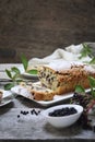 Summer baking. Black elderberry cake and and bunches of elderberries Royalty Free Stock Photo