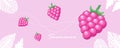 Summer banner with pink cherries