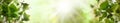 Summer banner background with green leaves, sun light and bokeh Royalty Free Stock Photo