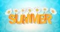 Summer banner with camomile flowers vector illustration
