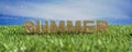 Summer banner header. 3d realistic summer test in green grass in meadow. Summer season. 3d illustration