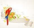 Summer banner with parrot Royalty Free Stock Photo