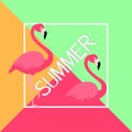 Summer banner with pink flamingos.