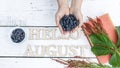 Summer banner: Word Hello August, childrens hands hold blue berries, old book and green on a white wooden rustic background. Royalty Free Stock Photo