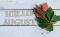 Summer banner: Word Hello August, old book and green leaves on a white wooden rustic background. Horizontal flat lay Royalty Free Stock Photo