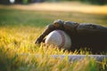 Summer baseball background close up